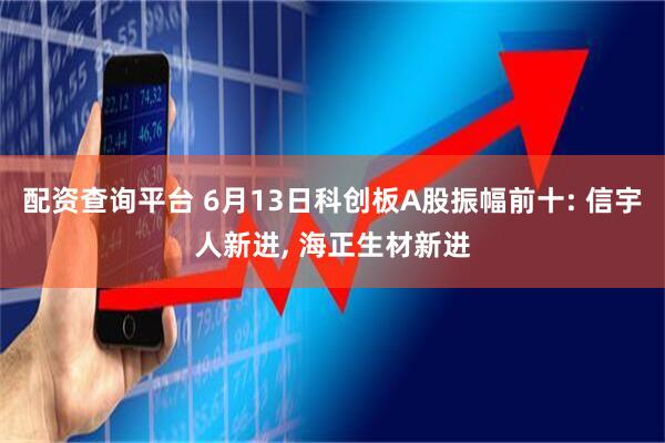 配资查询平台 6月13日科创板A股振幅前十: 信宇人新进, 海正生材新进