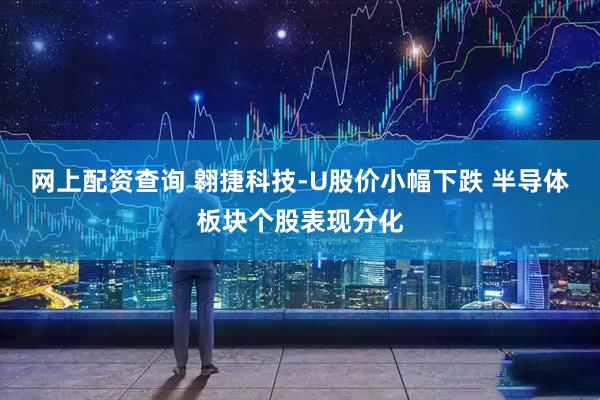 网上配资查询 翱捷科技-U股价小幅下跌 半导体板块个股表现分化