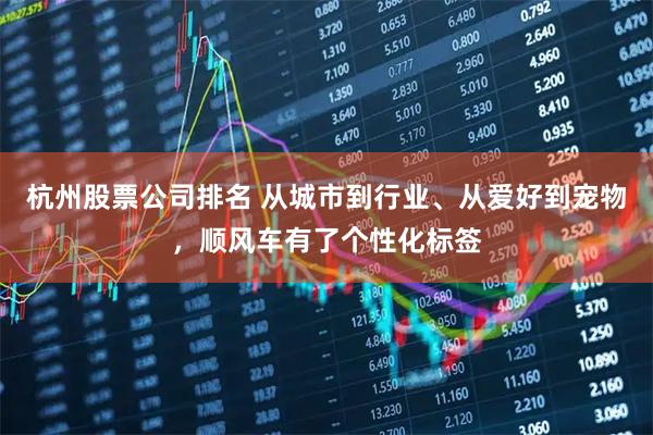 杭州股票公司排名 从城市到行业、从爱好到宠物，顺风车有了个性化标签