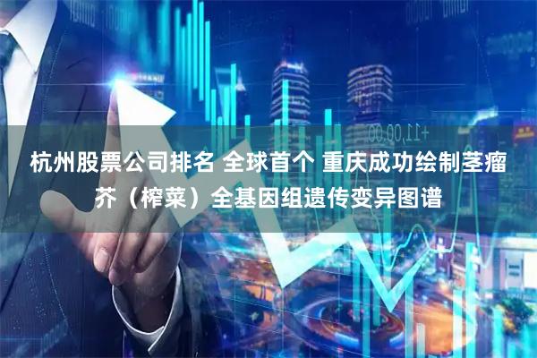 杭州股票公司排名 全球首个 重庆成功绘制茎瘤芥（榨菜）全基因组遗传变异图谱