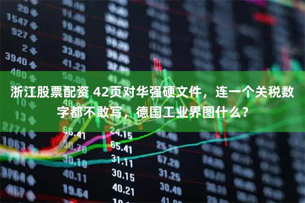 浙江股票配资 42页对华强硬文件，连一个关税数字都不敢写，德国工业界图什么？